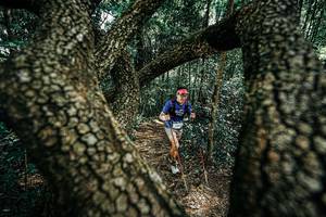 BIB: 
                            <button type="button" onclick="openModal(25392462)" class="btn btn-primary btn-sm float-right btn-popup" data-toggle="modal" data-target=".modal-high-quality">
                        <i class="fas fa-shopping-cart"></i> Add to Cart
                    </button>
                                            <button type="button" onclick="isThisMe(25392462, true)" class="btn btn-success btn-sm float-right btn-popup btn-isme hidden" data-toggle="tooltip" data-placement="bottom" title="นี่คือรูปของคุณใช่ไหม คลิกที่นี่เพื่อเอาเข้าอัลบั้ม">
                        <i class="fas fa-plus"></i> Add to album
                    </button>
                    <button type="button" onclick="isThisMe(25392462, false)" class="btn btn-warning btn-sm float-right btn-popup btn-isnotme hidden">
                        <i class="fas fa-ban"></i> Remove from album
                    </button>